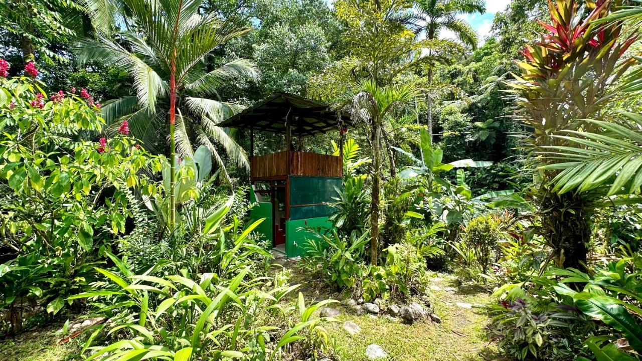 Vila Casa Aire Libre Puerto Jiménez Exteriér fotografie
